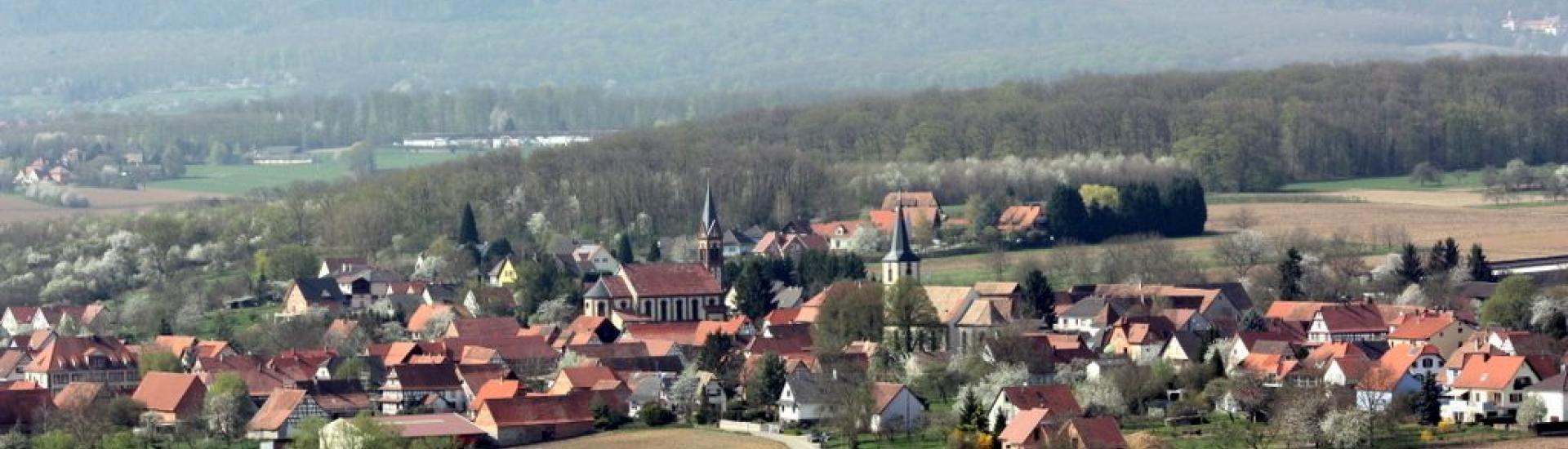 MerkwillerPechelbronn Insite